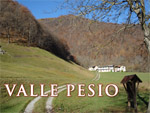 Valle Pesio